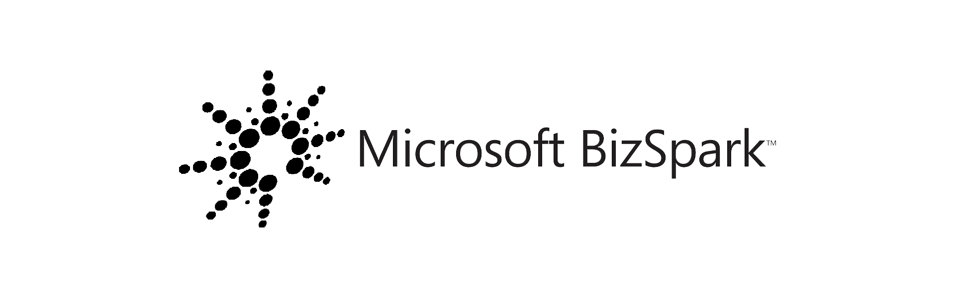 microsoft bizspark